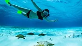 Snorkeler swimming above a sea turtle in Roatán