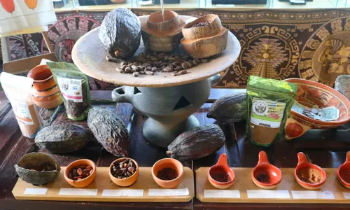 Cacao and chocolate display at Mayak