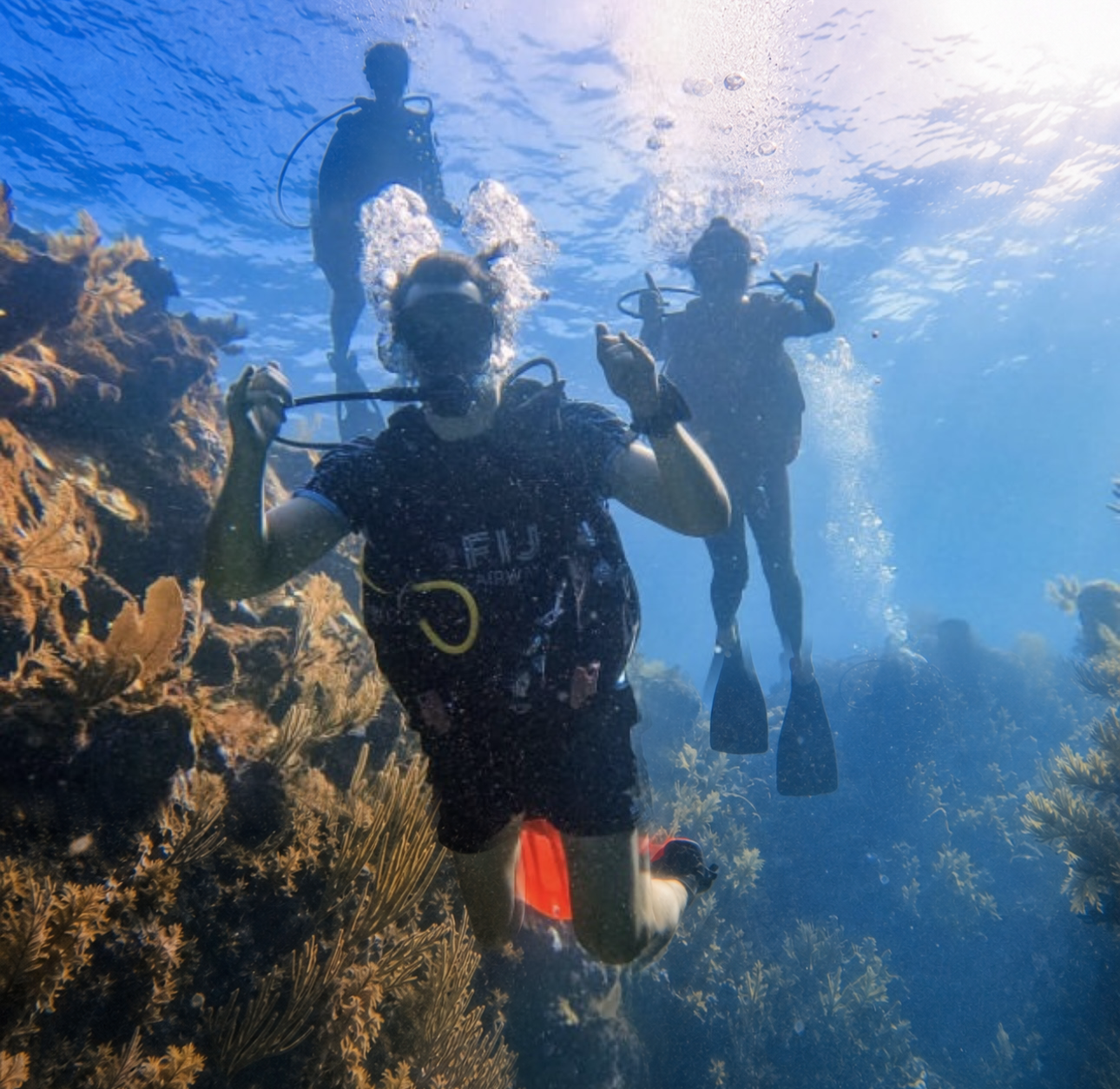 Guided Ocean Diving with Boat